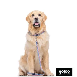 Gotoo Correa estampada rayas zig-zag para perros Discount