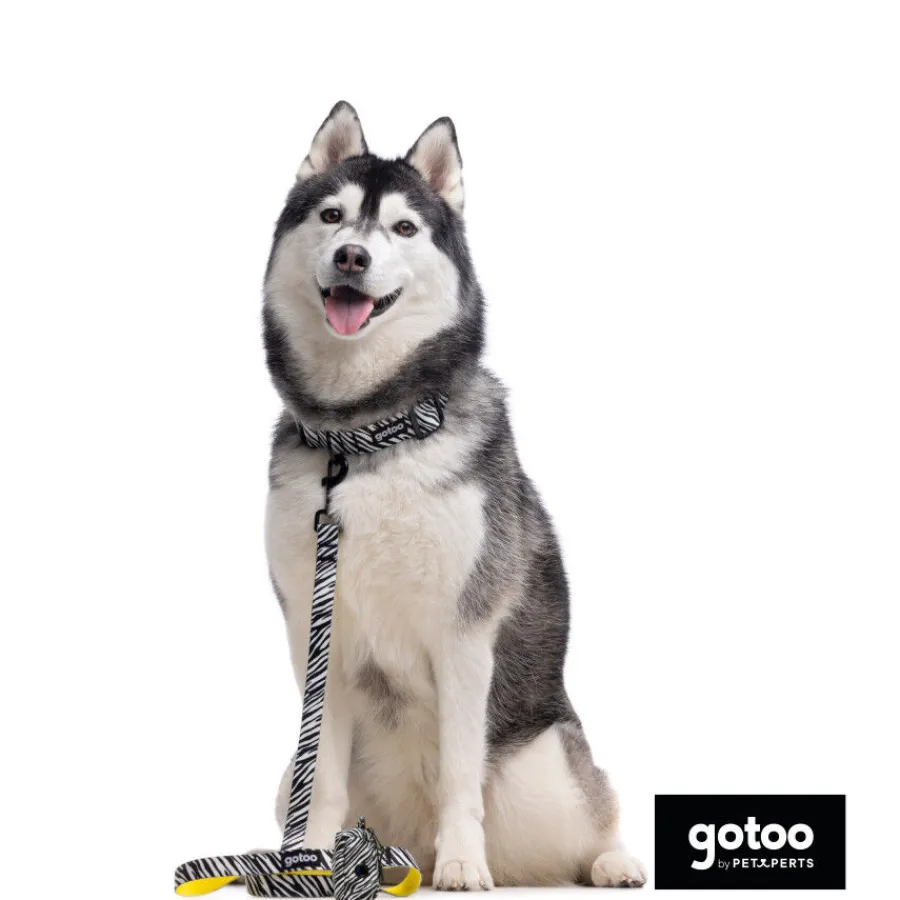 Gotoo Correa estampada zebra para perros Hot
