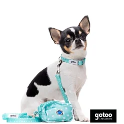 Gotoo Set Correa y Collar estampado con estrellas verde para perros Hot