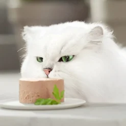 Gourmet Gold Mousse de Pollo lata para gatos Sale