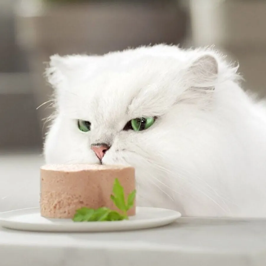 Gourmet Gold Mousse de Pollo lata para gatos Sale