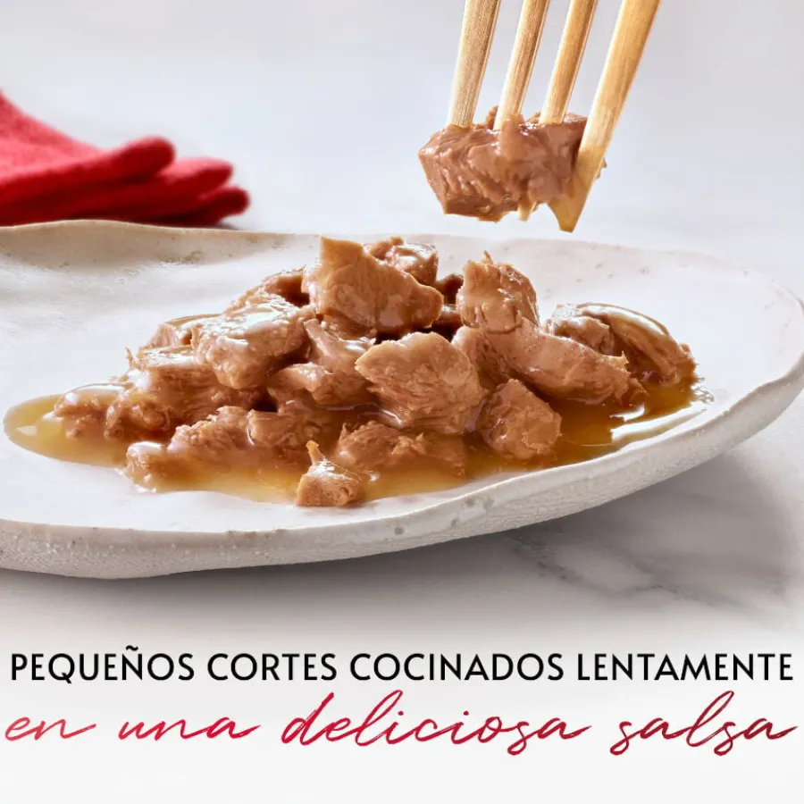Gourmet Mon Petit Selección Aves en salsa sobre para gatos Best