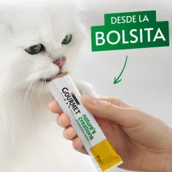 Gourmet Nature’s Creations Snack Húmedo de Buey para gatos New