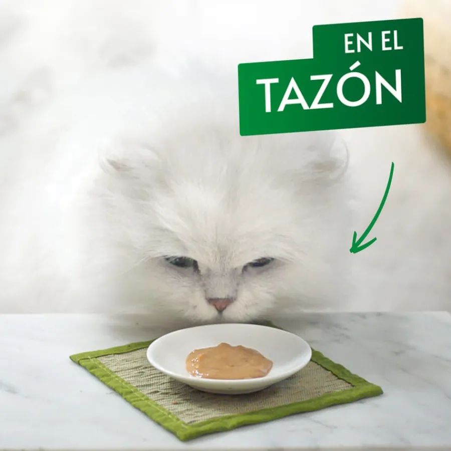 Gourmet Nature’s Creations Snack Húmedo de Buey para gatos New
