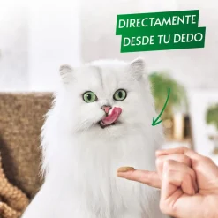 Gourmet Nature’s Creations Snack Húmedo de Salmón para gatos Discount
