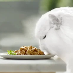 Gourmet Perle Filetes de Salmón y Atún en salsa sobre para gatos New