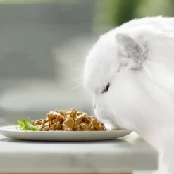 Gourmet Perle Filetes en gelatina sobre para gatos Discount