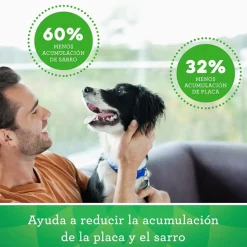 Greenies Snacks Dentales Naturales para perros grandes Online