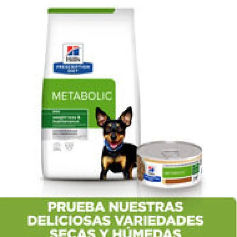 Hill's Adult Mini Prescription Diet Metabolic Estofado de Pollo y Verduras para perros Online