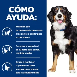 Hill's Prescription Diet Canine j/d Metabolic + Mobility lata para perros Online