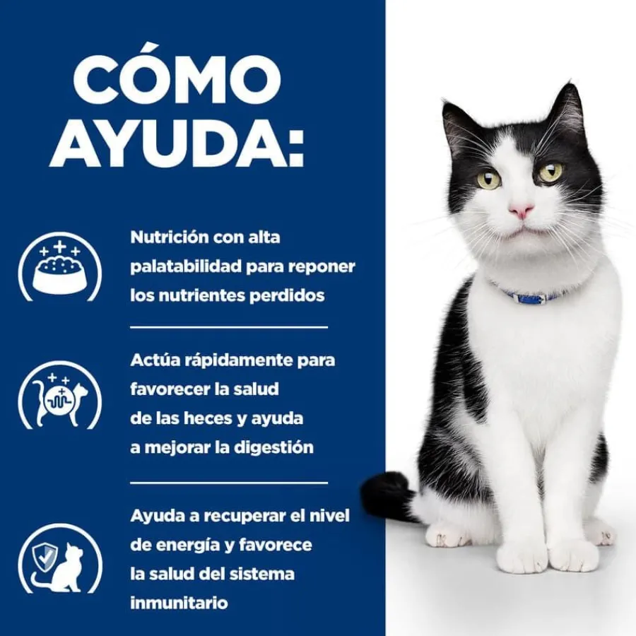 Hill's Prescription Diet Digestive Care i/d Gatos Estofado de Pollo y Verduras lata Hot
