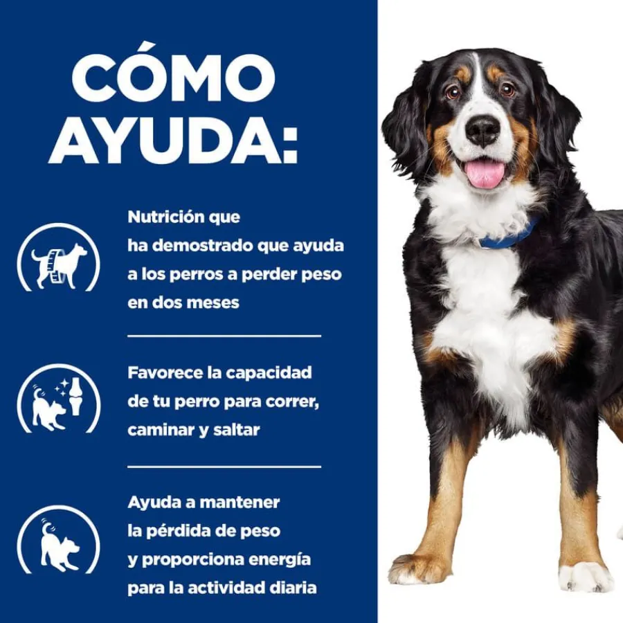 Hill's Prescription Diet j/d Metabolic + Mobility pienso para perros New