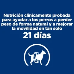 Hill's Prescription Diet j/d Metabolic + Mobility pienso para perros New