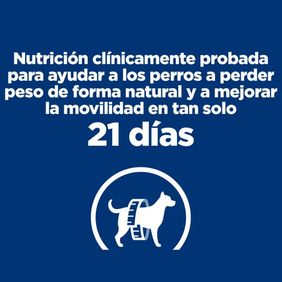 Hill's Prescription Diet j/d Metabolic + Mobility pienso para perros New