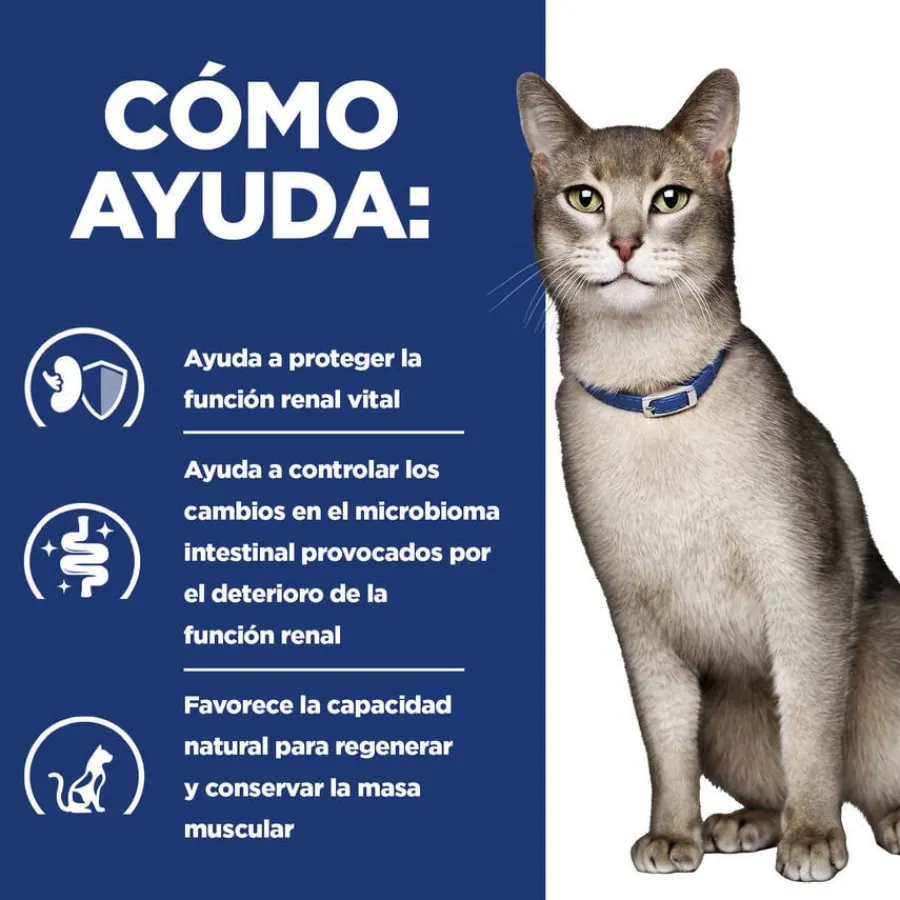 Hill's Prescription Diet Kidney Care k/d Pollo pienso para gatos Best