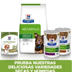 Hill's Prescription Diet Metabolic Pollo lata para perros Sale