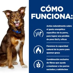 Hill's Prescription Diet Metabolic Pollo pienso para perros Online