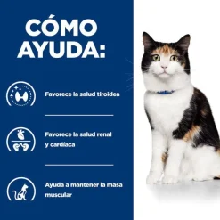 Hill's Prescription Diet Thyroid Care y/d pienso para gatos Sale