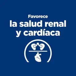 Hill's Prescription Diet Thyroid Care y/d pienso para gatos Sale