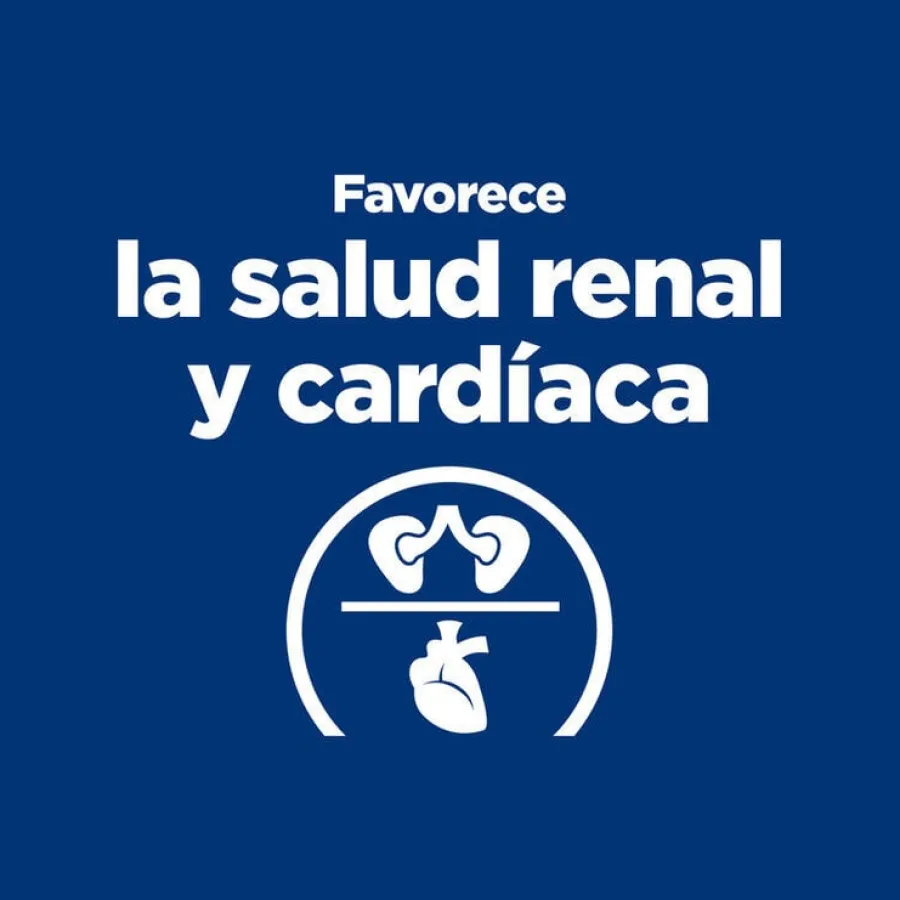 Hill's Prescription Diet Thyroid Care y/d pienso para gatos Sale