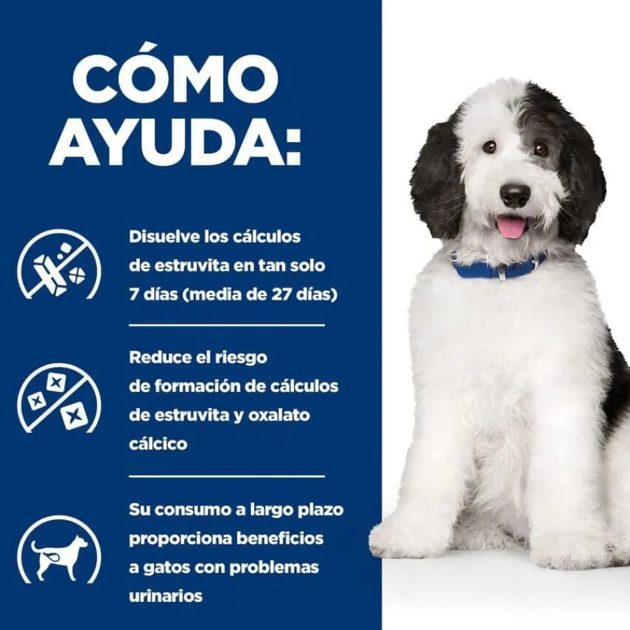 Hill's Prescription Diet Urinary Care c/d Pollo pienso para perros Outlet