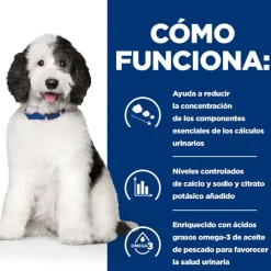 Hill's Prescription Diet Urinary Care c/d Estofado de Pollo y Verduras lata para perros Best