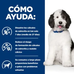 Hill's Prescription Diet Urinary Care c/d Estofado de Pollo y Verduras lata para perros Best