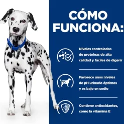 Hill's Prescription Diet Urinary Care u/d pienso para perros Best