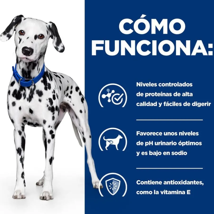 Hill's Prescription Diet Urinary Care u/d pienso para perros Best