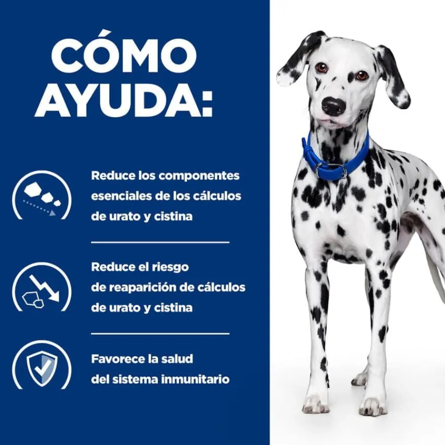Hill's Prescription Diet Urinary Care u/d pienso para perros Best