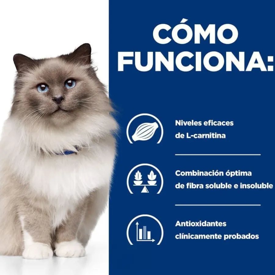 Hill's Prescription Diet Weight Loss Pollo pienso r/d para gatos Best