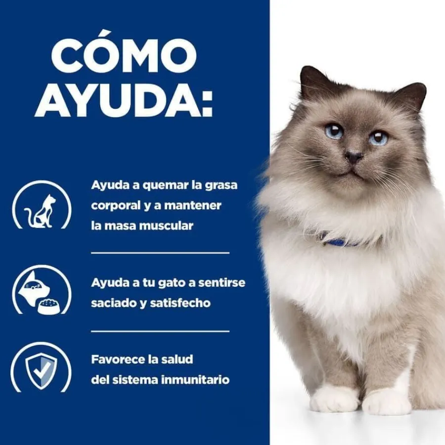 Hill's Prescription Diet Weight Loss Pollo pienso r/d para gatos Best