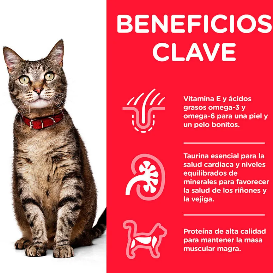 Hill's Science Plan Adult Pollo sobre para gatos Best