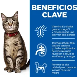Hill's Science Plan Adult Pollo pienso para gatos Clearance