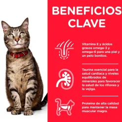 Hill's Science Plan Adult Pavo sobre para gatos Sale