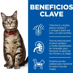 Hill's Science Plan Adult Cordero pienso para gatos Best