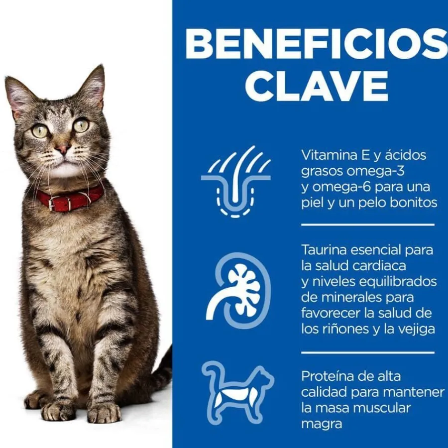 Hill's Science Plan Adult Cordero pienso para gatos Best