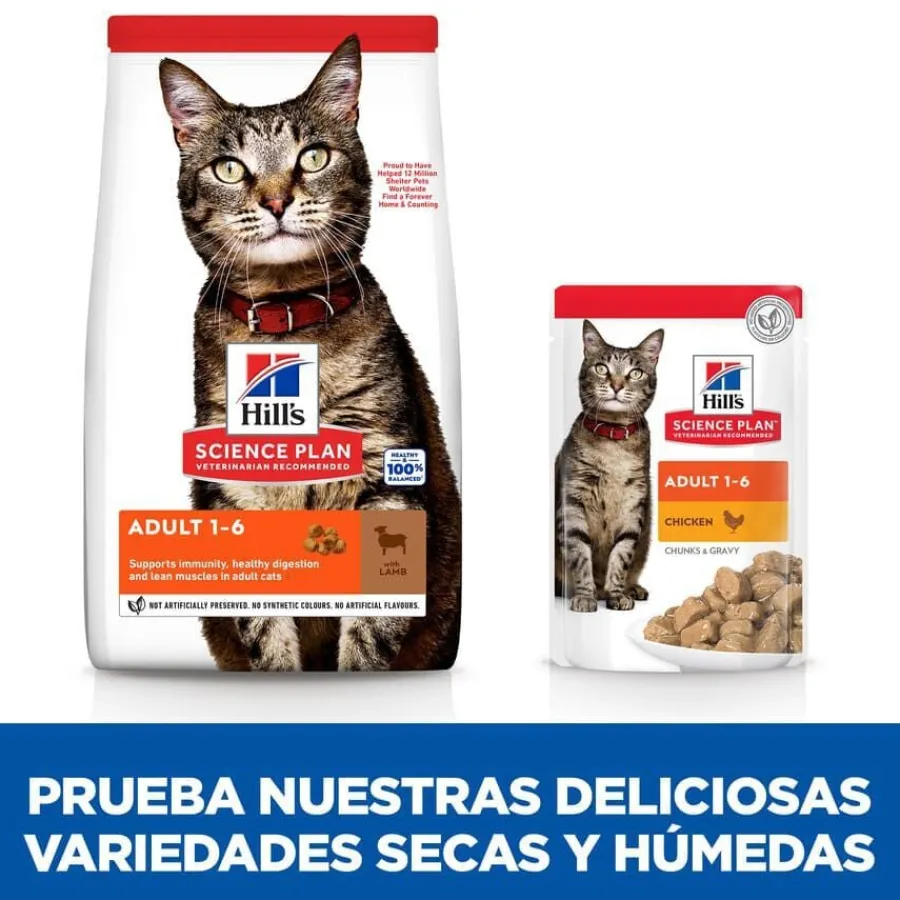 Hill's Science Plan Adult Cordero pienso para gatos Best