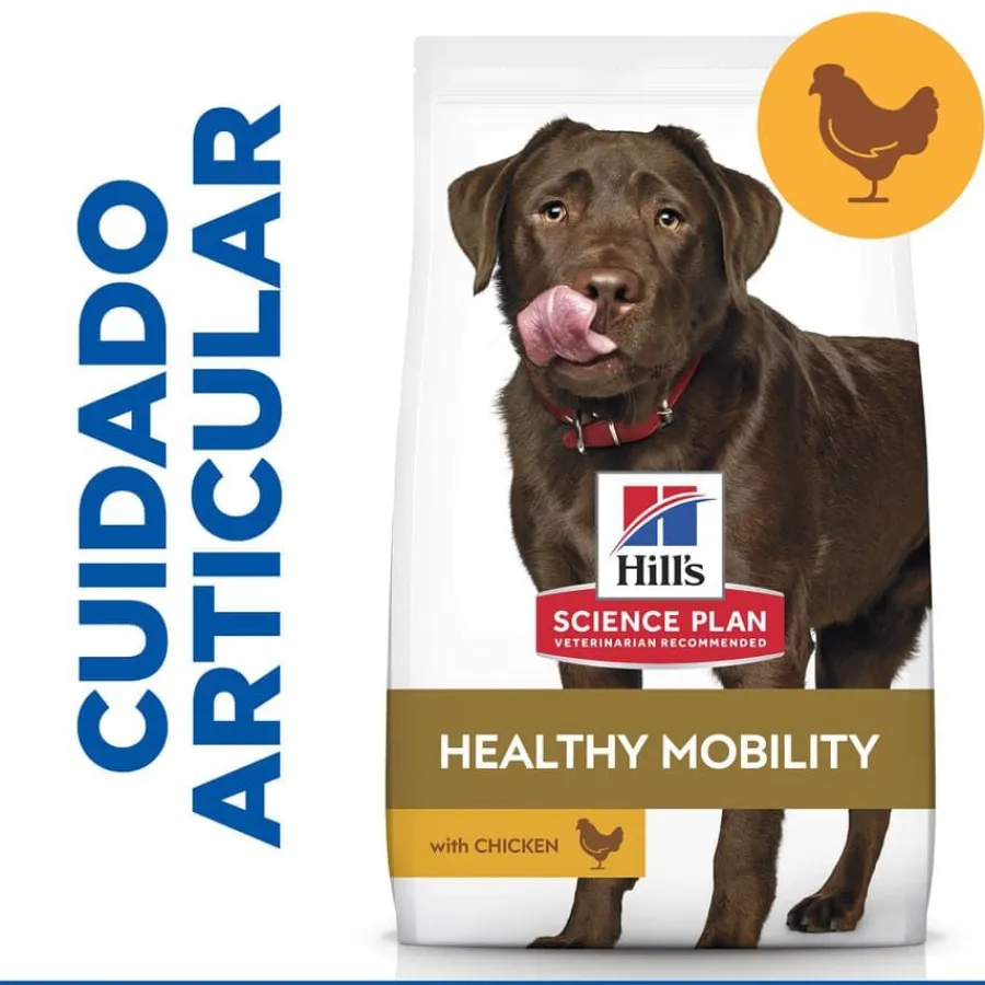 Hill's Science Plan Healthy Mobility Adult Large Pollo pienso para perros Online