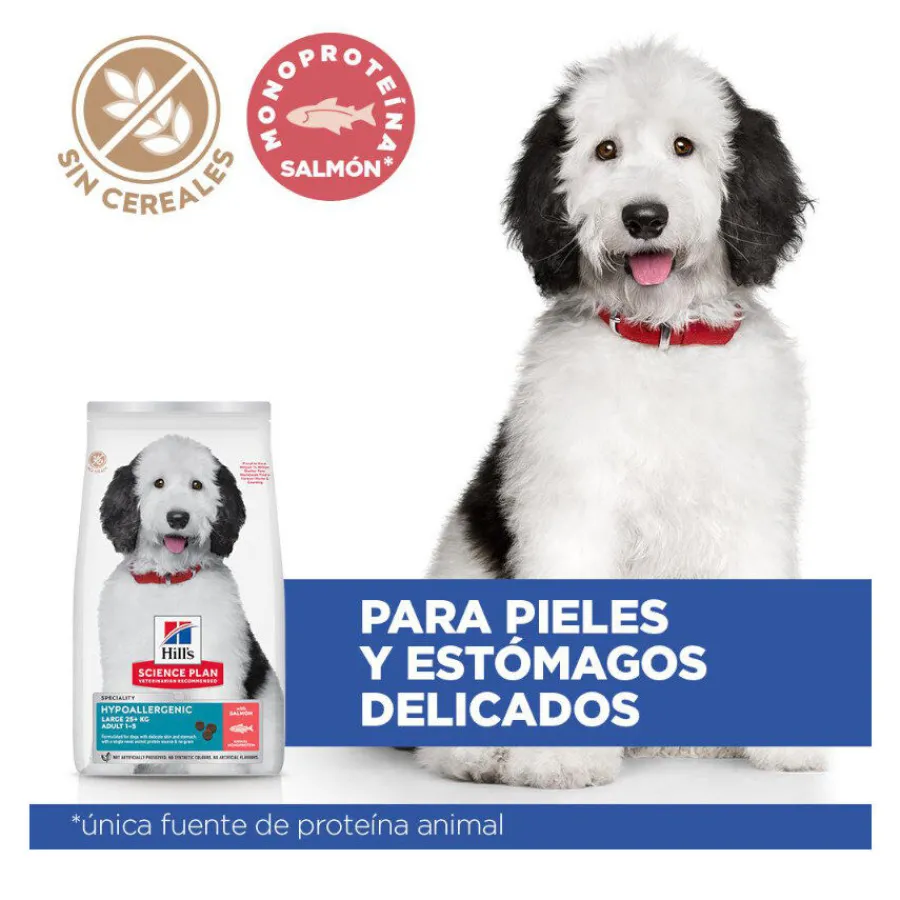 Hill's Science Plan Hipoalergénico Large Salmón pienso para perros Outlet