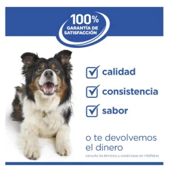 Hill's Science Plan Hipoalergénico Large Salmón pienso para perros Outlet