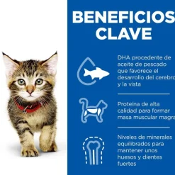 Hill's Science Plan Kitten Pollo pienso para gatos Hot
