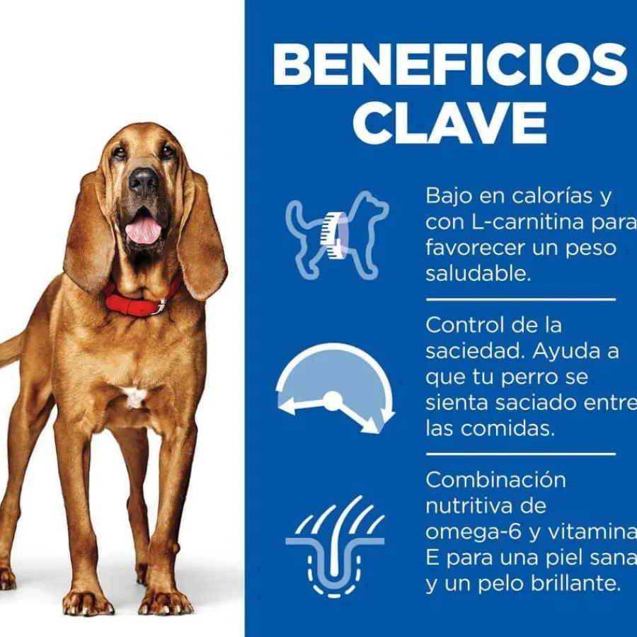 Hill's Science Plan Light Mature Adult 7+ Medium Pollo pienso para perros Online