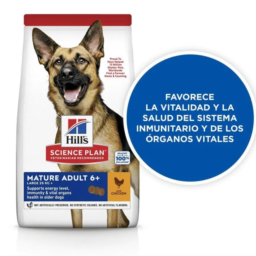 Hill's Science Plan Mature Adult Large Pollo pienso para perros New
