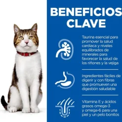 Hill's Science Plan Mature Adult 7+ Pollo pienso para gatos Clearance