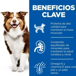 Hill's Science Plan Mature Adult Medium Pollo pienso para perros New
