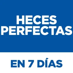 Hill's Science Plan Perfect Digestion Adult Pollo Pienso para gatos Online