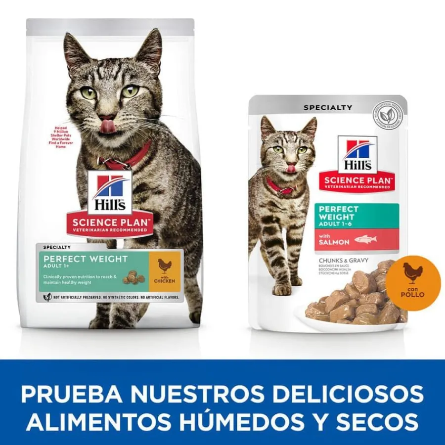 Hill's Science Plan Perfect Weight Adult pollo pienso para gatos Discount