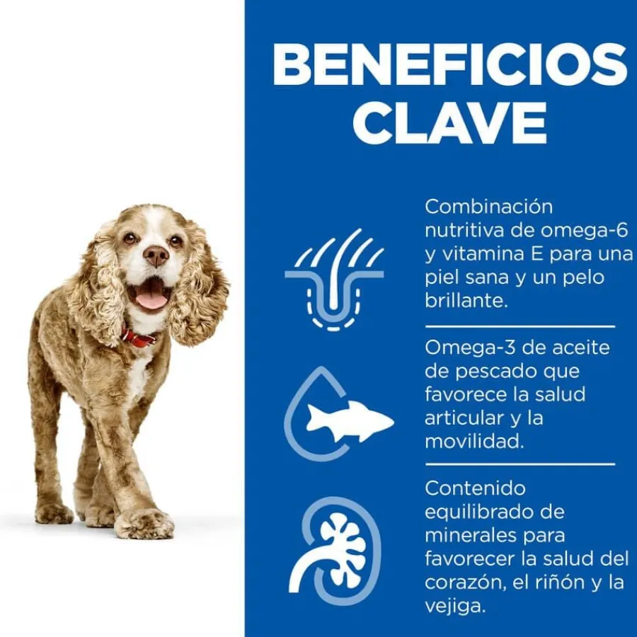 Hill's Science Plan Senior 11+ Small y Mini pollo pienso para perros Online