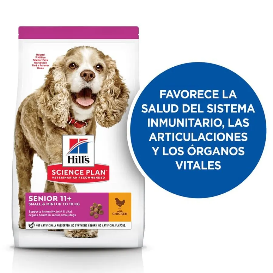Hill's Science Plan Senior 11+ Small y Mini pollo pienso para perros Online